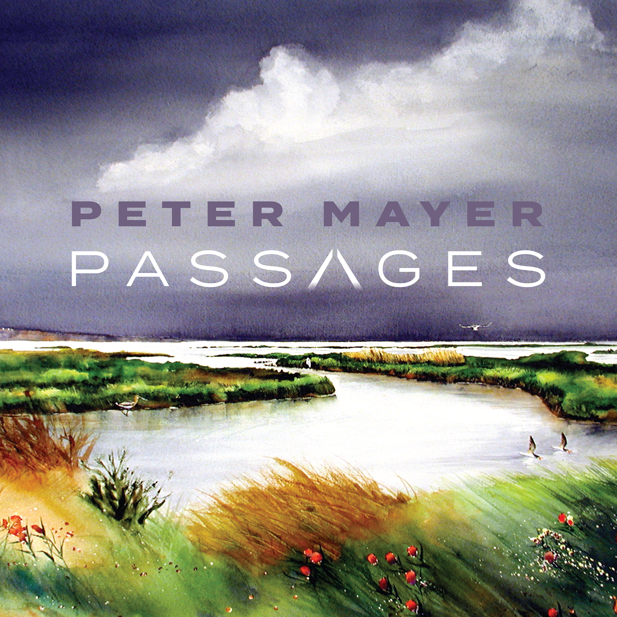 Picture of Peter Mayer: Passages